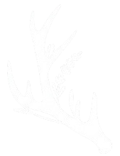 Coto de San Bernardo